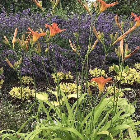 Woanders Zu Hause 4 Sterne Apartament