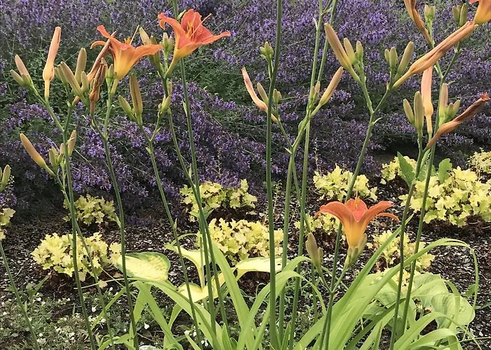 Woanders Zu Hause 4 Sterne Lägenhet